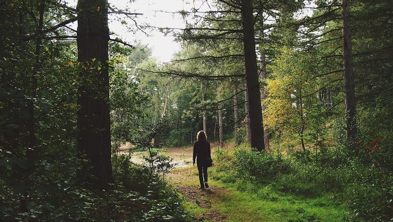 Solo adventures